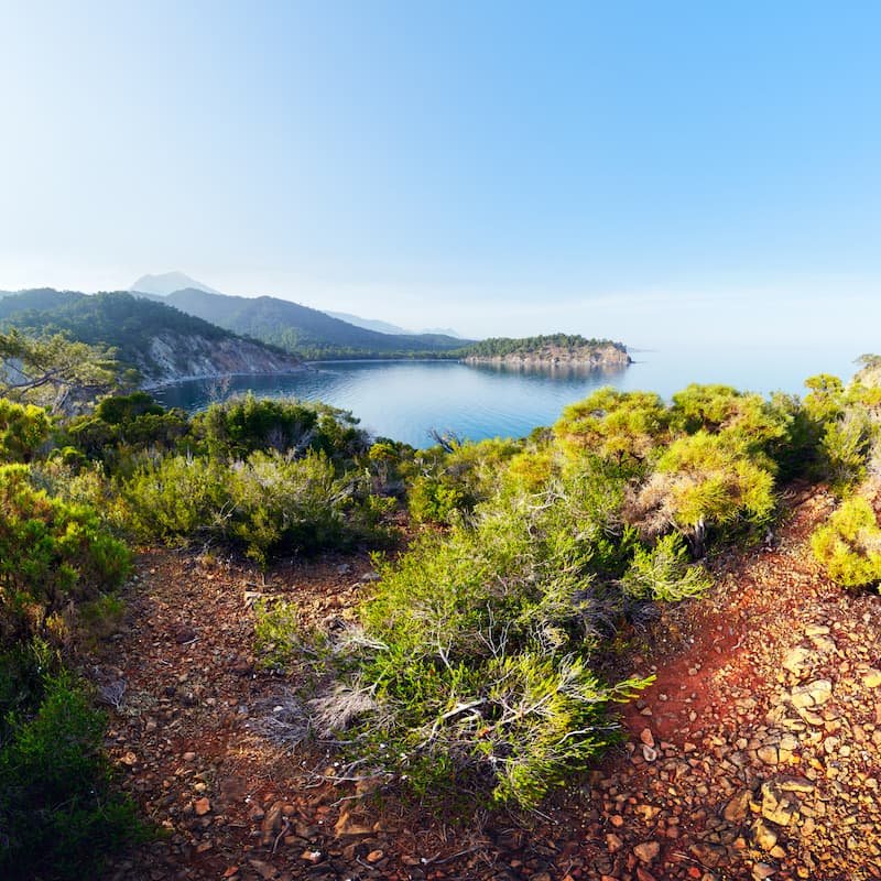 Klare Sicht nach Star OP