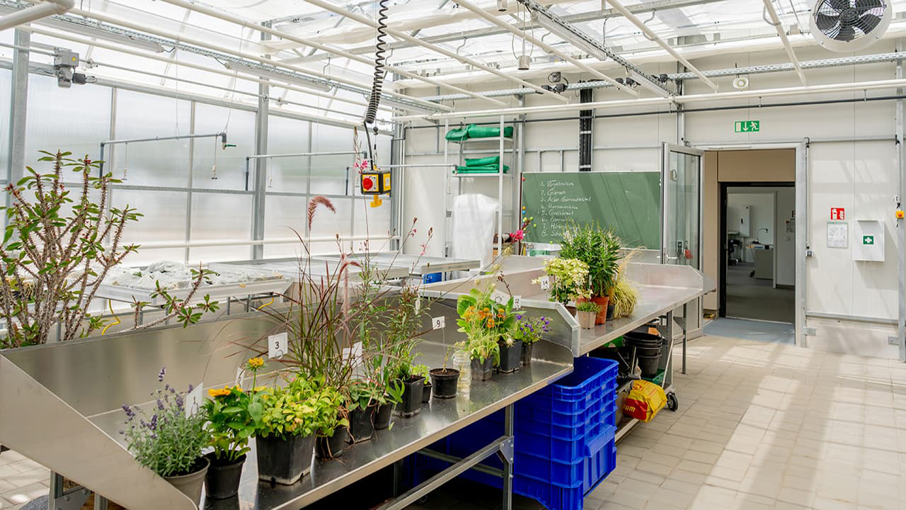 Interimsbau für die Landwirtschaftliche Schule in Stuttgart-Hohenheim