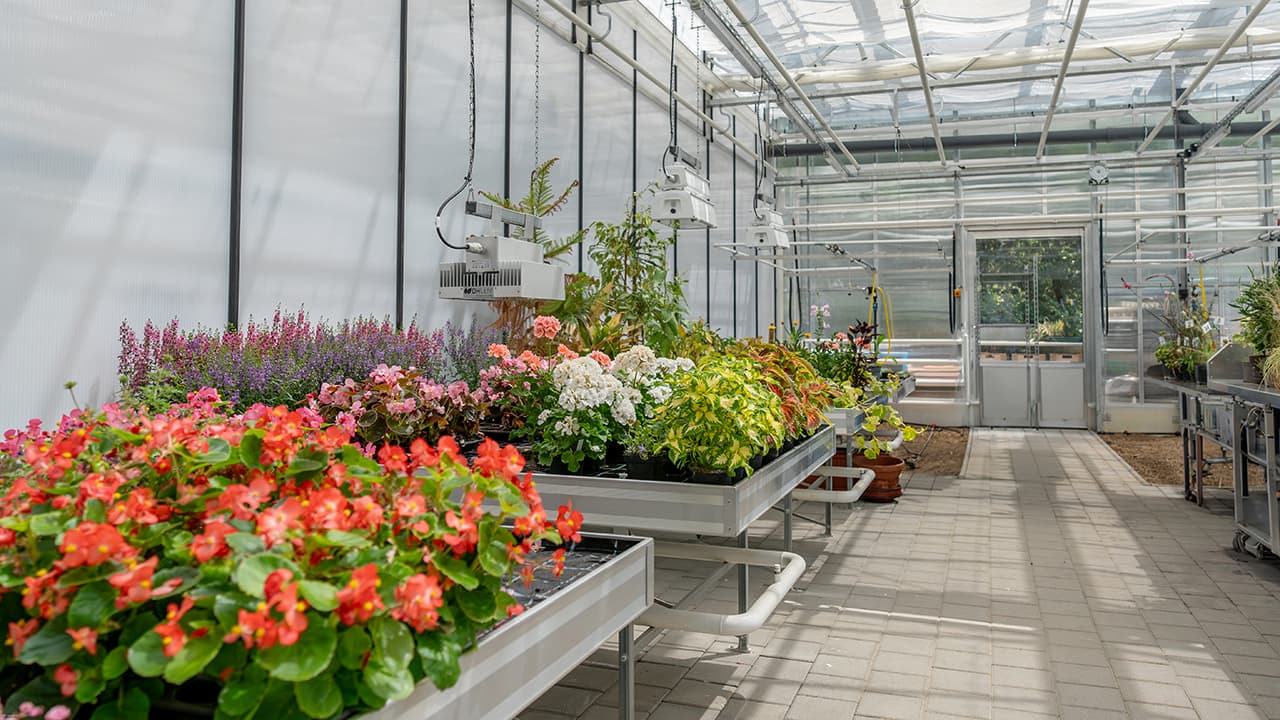 Interimsbau für die Landwirtschaftliche Schule in Stuttgart-Hohenheim